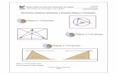Geometria Dinâmica utilizando o Software Régua e Compasso · linha ou circunferência. Deve-se indicar o(s) ponto(s) a ser(em) rastreados, o objeto, e o ponto a ser movido. Por