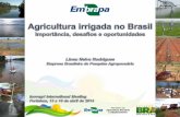 Projeto 02.10.04.002 - NatDATA Plataforma de Recursos ... · Source: UN data from Global Harvest Initiative GAP Report (2011). No futuro, fração cada vez maior da produção agrícola