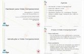 Introdução a Visão Computacional Hardware para Visão ...alekoe/Papers/Seminario-TVGlobo-Abril2007... · Hardware para Visão Computacional Alessandro L. Koerich ... • A melhoria