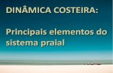 DINÂMICA COSTEIRA: Principais elementos do sistema praial · Tese de Doutorado - PPG Geologia Sedimentar, USP, São Paulo, 1999 ... ed. Rio de Janeiro: ... TA Queiroz Ed., 1992.