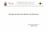 Erech-Energia Biomassa.ppt [Somente leitura]143.107.4.241/download/documentos/apresentacoes/erechim2012... · Conjunto de gases formado na degradação da ... GLP (Gás Liquefeito