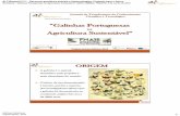(ALT20-03-0246-FEDER-000021) “Galinhas Portuguesas ... · agrícola – especialização da industrias avícola para a criação de galinhas em ambiente controlado com objetivos