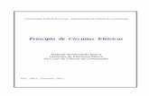 Princípio de Circuitos Elétricos - professores.dcc.ufla.brprofessores.dcc.ufla.br/~giacomin/Com145/Eletricidade_T.pdf · análise mais ampla e geral, apresenta vários teoremas