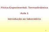 Física Experimental: Termodinâmica Aula 1 Introdução ...lilith.fisica.ufmg.br/~labexp/novosite/Aula1_Termo_Rev02_2018.pdf · O semestre é composto por 13 aulas: 2 aulas introdutórias