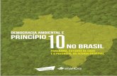 DEMOCRACIA AMBIENTAL E PRINCÍPIO NO …...3 1 - Introdução 4 2 - Um panorama sobre os direitos de acesso no Brasil 5 2.1 - Acesso à Participação 5 2.2 - Acesso à Informação