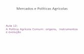 Aula 12: A Política Agrícola Comum: origens, instrumentos ... · A Política Agrícola Comum: origens, instrumentos e evolução. A Política Agrícola Comum: origem O Tratado de
