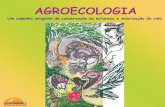 Um caminho amigável de conservação da AGROECOLOGIA ... · não se enquadram totalmente na definição de agroecologia. Na maioria, trata-se de processos de transição da agricultura