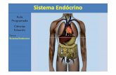 Sistema Endocrino 2015 Modo de Compatibilidade Endocrino 2015... Aula Programada Ciências Eduardo Tema: ... Sistema Endócrino 1)Introdução O sistema endócrino é responsável