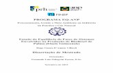 PROGRAMA EQ -ANP - objdig.ufrj.brobjdig.ufrj.br/61/dissert/806266.pdf · Processos Químicos e Bioquímicos da Escola de Química da Universidade Federal do ... Rio de Janeiro: UFRJ