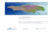 SUDERHSA - Instituto das Águas do Paraná · Relatório Final Sistema de Informações Geográficas para Gestão dos Recursos Hídricos no Alto Iguaçu RELATÓRIO FINAL - SIG SUDERHSA