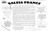 SANTUÁRIO DE BALEIAS - baleiafranca.org.brbaleiafranca.org.br/oprojeto/santuario.pdf · Av. Atlântica, s/nº Praia de Itapirubá Norte, Imbituba/SC Saiba mais: Fone: (48) 32552922
