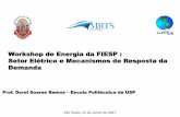 Workshop de Energia da FIESP : Setor Elétrico e Mecanismos de …az545403.vo.msecnd.net/uploads/2017/06/dorel.pdf · dos benefícios sistêmicos potenciais por conta da introdução