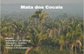 Mata dos Cocais · 2015-06-04 · Características da região 3.1 Clima Ao oeste: •Localizada na transição dos climas: ... •Promover ações de preservação da fauna e flora,