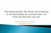Taíssa Caroline Silva Rodrigues taissageo@dsr.inpewiki.dpi.inpe.br/lib/exe/fetch.php?media=taissa.pdf · de dados do Vale do Paraíba e do Estado de ... APP PRESERVADA. Se for APP