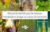 Manual de identificação de doenças, nematoides e pragas na ... · Manual de identificação de doenças, nematoides e pragas na cultura da bananeira Empresa Brasileira de Pesquisa