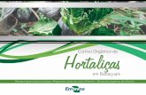Cultivo Orgânico de em Babaçuaisagroecologia.gov.br/sites/default/files/publicacoes/38...controle fitossanitário, incluindo receitas de caldas para combate a pragas e doenças de