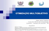 Slides 04 - Otimizacao Multiobjetivo - inf.unioeste.bradair/CE/Notas de Aula/Slides 04 - Otimizacao... · Dissertação (Mestrado em Engenharia de Produção) –PUC-Rio, RJ. Problemas