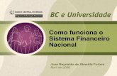 Sistema Financeiro Nacional - bcb.gov.br · 3 Como funciona o Sistema Financeiro NacionalComo funciona o Sistema Financeiro Nacional Conceito de Sistema Financeiro • Conjunto de
