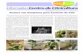 Cordeirópolis, Janeiro de 2012 • Número 200 Avanço nas ... · controle de doenças bacterianas em plantas encontra-se em processo de patenteamento nacional e internacional ...