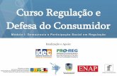 Realização e Apoio - Idec - Instituto Brasileiro de ... · econômico, exceto quando provada a sua vulnerabilidade no caso ... ser aplicado o CDC para o uso profissional caso esteja