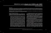 História e genealogia do CPRS e do CBP 1 - pepsic.bvsalud.orgpepsic.bvsalud.org/pdf/ep/n41/n41a08.pdf · História e genealogia do CPRS e do CBP Primórdios da história ... Funcionava