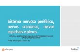 Sistema nervoso periférico, nervos cranianos, nervos ... · Anatomia do Sistema Nervoso Periférico Nervos cranianos Nervos espinhais Plexos Lesão medular. ... Nervos oculomotor