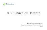 A Cultura da Batata - ceasa.gov.br · A Cultura da Batata (Solanum Tuberosum L.) • Solanácea produtora de tubérculos; • Nativa da Cordilheira dos Andes; • Introduzida na Europa