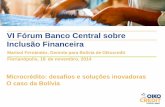 VI Fórum Banco Central sobre Inclusão Financeira - 2... · 33% rural, 68% pop. indígena PEA: 3.7 milhões, 74% são empregados por conta própria ... Desenvolvimento das microfinanças