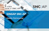 SINGAP SNC-AP · –Período 14 - após apuramento dos resultados da contabilidade financeira. AFT ...
