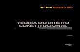 TEORIA DO DIREITO CONSTITUCIONAL - direitorio.fgv.br · TEORIA DO DIREITO CONSTITUCIONAL FGV DIREITO RIO 6 Com relação ao ensino superior, apenas 10,8% da população negra possui