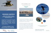 penwave folheto 1 - spea.pt · Biologia Marinha, Biotecnologia. Aquacultura, Inovação Alimentar e Actividades Tradicionais relacionadas com o mar. da onda e uma cidade com uma rela