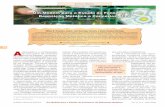 Um Modelo para o Estudo do Fenômeno de - EEFwebeduc.mec.gov.br/portaldoprofessor/.../sbq/QNEsc31_2/04-EA-4208.pdf · A explicação e a compreensão de uma gama de conceitos químicos
