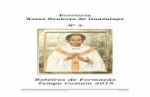 Província Nossa Senhora de Guadalupe -Nº 3-sacramentinos.com/wp-content/uploads/2017/07/05-Roteiro-Tempo... · - Foi vista a necessidade de privilegiar a formação dos formadores.
