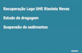 Recuperação Lago UHE Risoleta Neves Estudo de dragagem ...ibama.ibama.gov.br/phocadownload/emergenciasambientais/anexo_ii... · diferentes tipos de sedimentos e resíduos gerados.