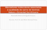 Marcadores moleculares para qualidade de carneMestranda Roberta Doriguello Fonseca Docente: Prof. Dr. José Bento Sterman Ferraz Marcadores moleculares associados à qualidade de carne