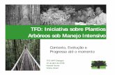 TFD: Iniciativa sobre Plantios Arbóreos sob Manejo Intensivotheforestsdialogue.org/sites/default/files/murray_contexto... TFD IMPF Dialogue 16 de abril de 2008 Novotel Vitoria Vitoria,