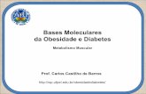 Bases Moleculares da Obesidade e Diabetes - wp.ufpel.edu.brwp.ufpel.edu.br/obesidadediabetes/files/2013/10/BM-08-Metabolismo... · adrenalina a qual inibe a secreção de insulina