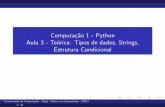 Computação 1 - Python Aula 3 - Teórica: Tipos de dados ...bfgoldstein/python/compI/slides/aula3... · String Exerc´ıcio Escreva uma fun¸cao que receba como parametro o nome