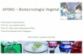 AF060 – Biotecnologia Vegetal aula... · •Rótulo das culturas - Diferentes concentrações ORGANIZAÇÃO DO LABORATÓRIO. Cultura de Tecidos Vegetais PREPARO DE MEIO DE CULTURA