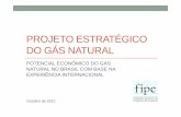 PROJETO ESTRATÉGICO DO GÁS NATURAL · Método Para analisar os impactos sobre a economia brasileira do preço do gás natural, foram abordadas as seguintes questões: • As tendências
