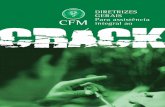 DIRETRIZES GERAIS CFM integral ao crack - Portal Médicoportal.cfm.org.br/images/stories/pdf/revistacrack.jpg.pdf · dora da SENAD (Secretaria Nacional Anti- ... operativas de trabalho,