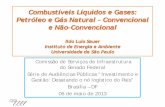 Combustíveis Líquidos e Gases: Petróleo e Gás Natural ... · Petróleo e Gás Natural - Convencional e Não-Convencional Ildo Luís Sauer Instituto de Energia e Ambiente ... Domestic