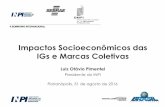Impactos Socioeconômicos das IGs e Marcas Coletivasdatasebrae.com.br/wp-content/uploads/2018/09/1-INPI-Presidente... · Carne Suína do Oeste Catarinense TI de Florianópolis Vime