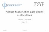 Análise filogenética para dados moleculares - iq.usp.br · Árvores e cladogramas Topologia e comprimento de ramos 8/24/2017 J. C. Setubal 17 Credit: Wattam et al. 2011