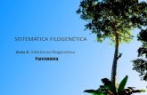 SISTEMÁTICA)FILOGENÉTICA - botanicaamazonica.wiki.br Cladogramas mais curtos (com a máxima parcimônia) sem calcular todos os cladogramas possíveis (exhaustive . 23 BuscasHeurís^cas