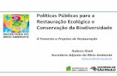 Políticas Públicas para a Restauração Ecológica e ...botanica.sp.gov.br/files/2013/11/Rubens-Rizek.pdf · Políticas Públicas para a Restauração Ecológica e Conservação