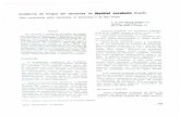 Impressão de fax em página inteira - Acta Amazonica · 2011-05-11 · Uma comparaçäo entre variedades do Amazonas e de Sao Paulo ... são diferentes, elas poderão prover ou não