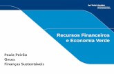 Recursos Financeiros e Economia Verde · Escopo e Abrangência do Projeto Fonte: Gvces, 2014 ... Financiamentos e Empréstimos Investimentos Seguros Limitações • Ausência de
