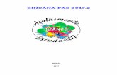 GINCANA PAE 2017 - uff.br · obtenção da pontuação da gincana. ... Participação de dois representantes de cada curso; f) ... Creme de leite 10