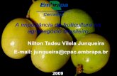 A importância da fruticultura no ... - Embrapa Cerrados · Frutas mais consumidas e produzidas no Brasil Citros - 20 142 milhões de toneladas20,142 milhões de toneladas Banana